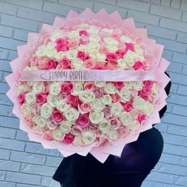 Buchon hermoso rosita