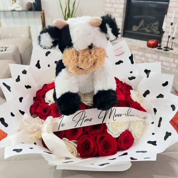 Round bouquet of red and white roses wrapped in cow-print paper with a plush cow toy on top.