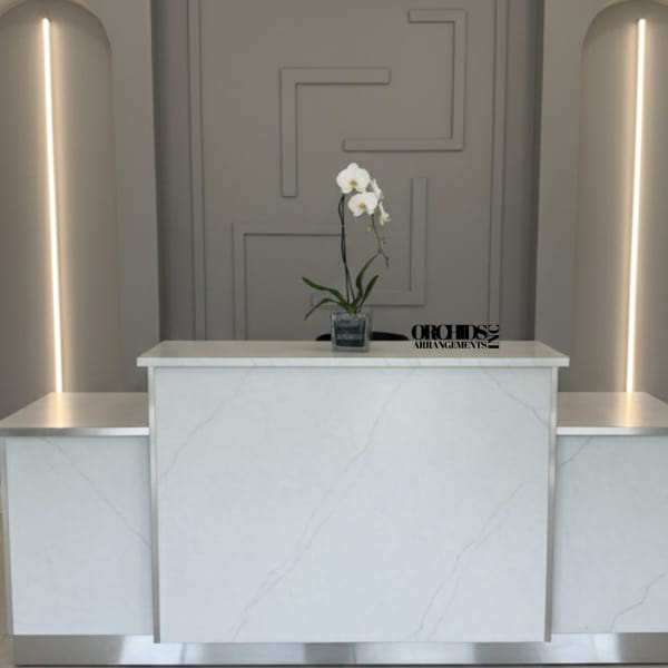 White orchid in a small square vase on a marble reception desk