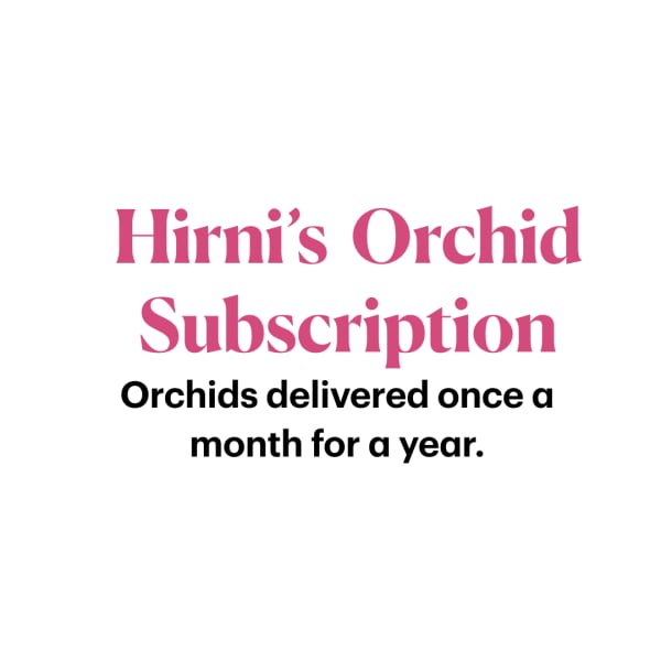 Text reading Hirni's Orchid Subscription with monthly orchid delivery
