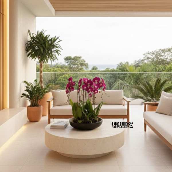 Potted magenta orchids arranged on a low round table in a modern patio