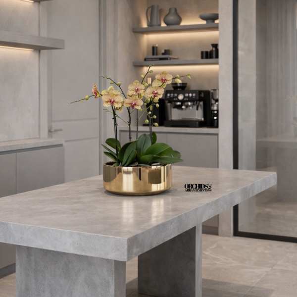 Peach Phalaenopsis Orchid – Gold Accent Vase