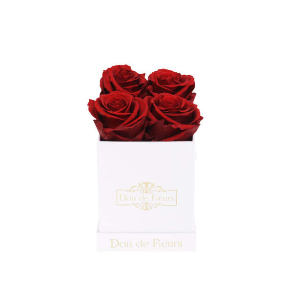 Petite White Square Preserved Rose-Red
