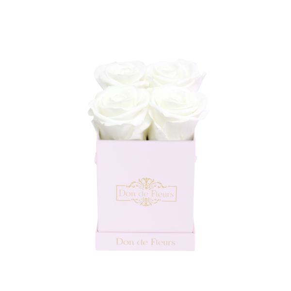 Petite Blush Pink Square Preserved Rose-White