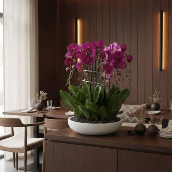 Pink orchids in a white bowl planter on a wooden table