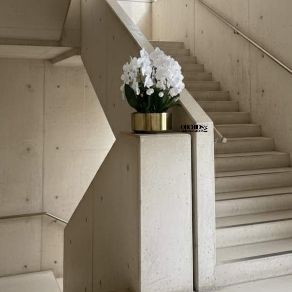 White orchids arranged in a gold planter on a stair landing