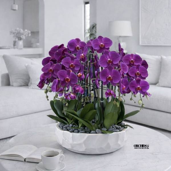 Purple orchid arrangement in a white bowl on a round table
