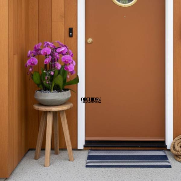 Potted purple orchids on a small wooden stool beside a front door