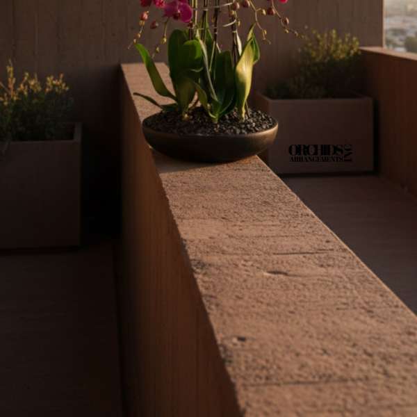 Pink orchid plant in a shallow bowl planter on a ledge