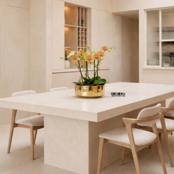 Peach Phalaenopsis Orchid – Luxury Statement Décor