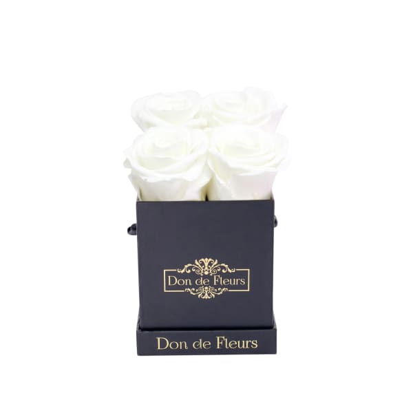 Petite Black Square Preserved Rose-White