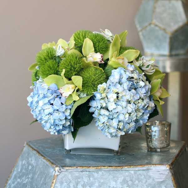 Blue hydrangeas and green orchids in a white square vase