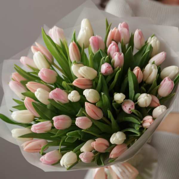 № 116 - THE PHOTO SHOWS THE DELUXE SIZE