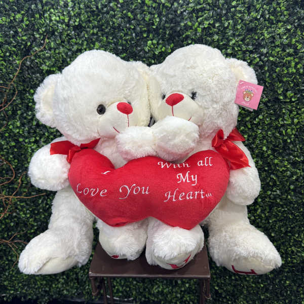 Two white teddy bears holding a red heart pillow