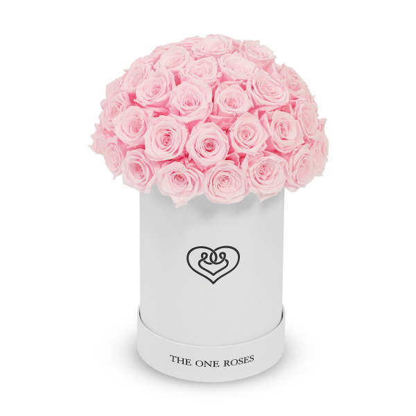 Pink roses arranged in a white cylindrical box