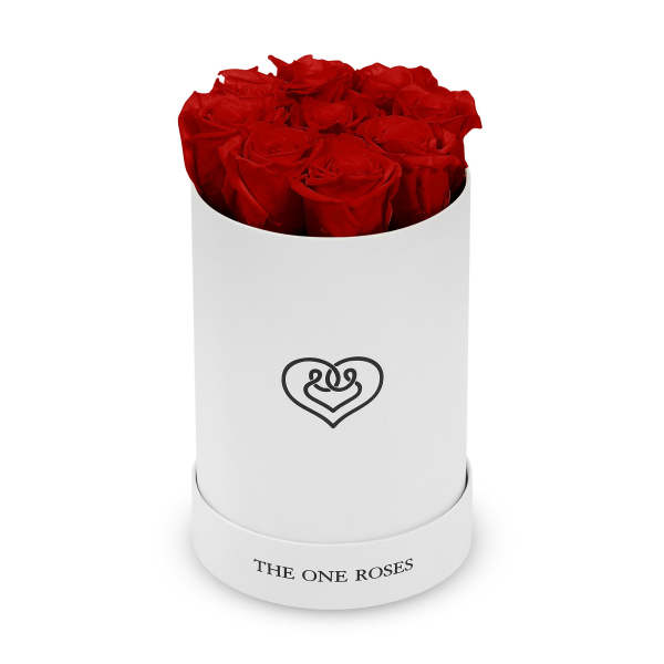 Red roses in a white cylindrical box