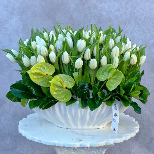 White tulips and green anthuriums in a white shell-shaped vase
