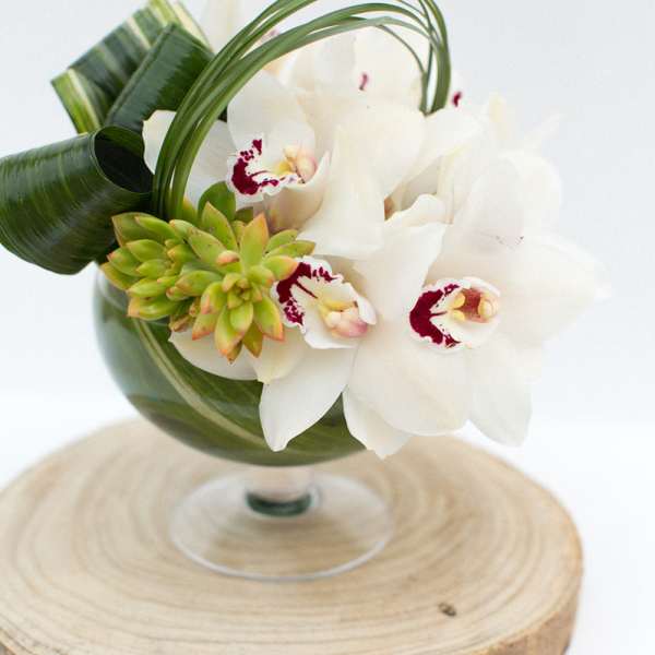 White orchids with a green succulent in a glass bowl