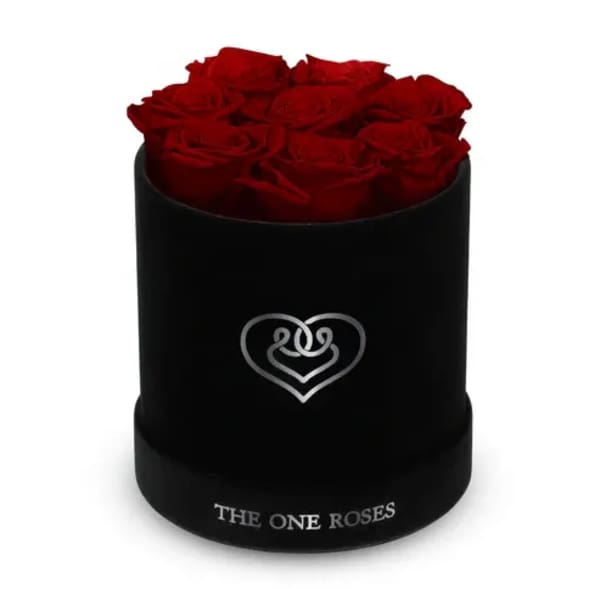 Red roses arranged in a black round box