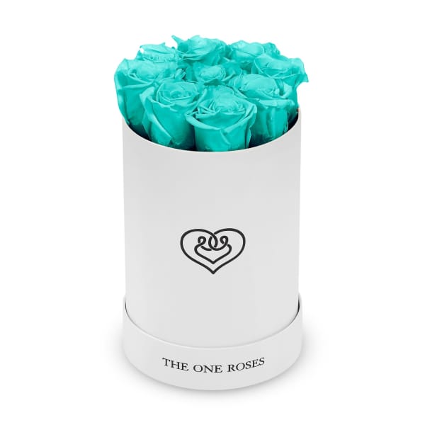 Turquoise roses in a white cylindrical box