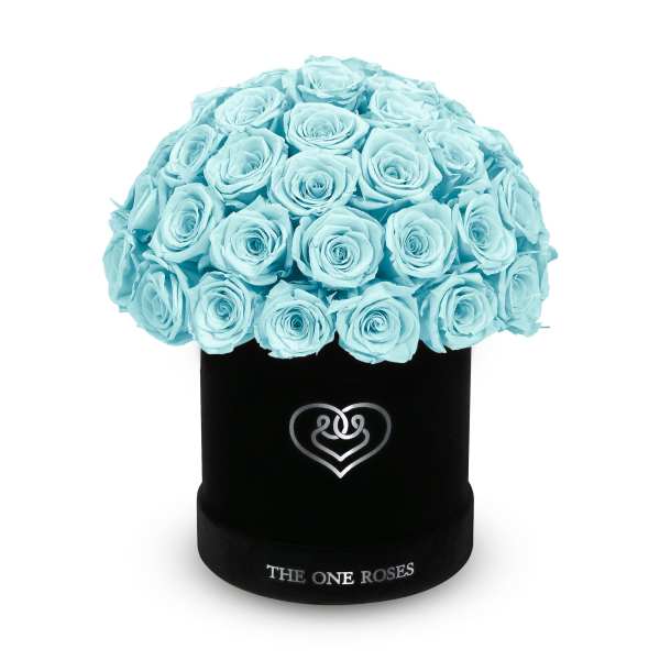 Light blue roses arranged in a black round box