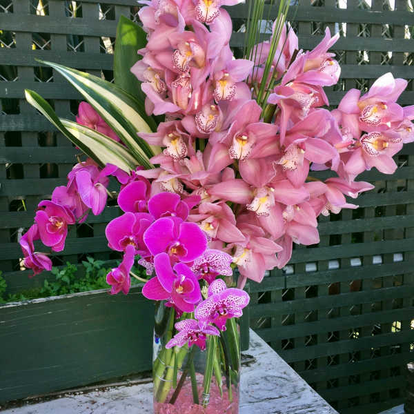 Pink orchids arranged in a tall glass vase