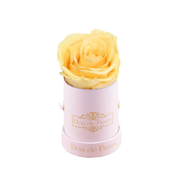 Mini Blush Pink Round Preserved Rose-Yellow