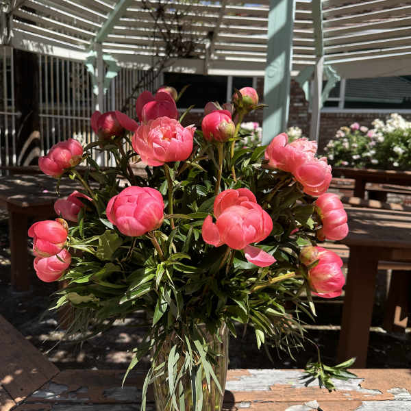 Pink peonies arranged in a clear glass vase