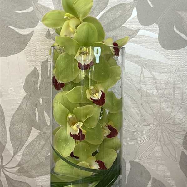 Green orchids arranged in a tall glass vase