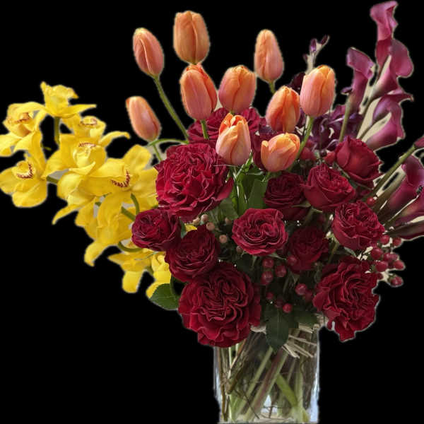 Queen of everything 2!