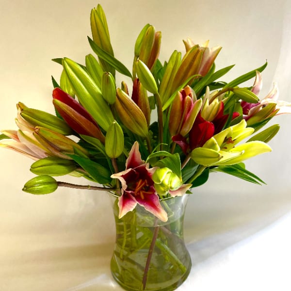 Glass vase of pink and red lilies with many green buds against a light background