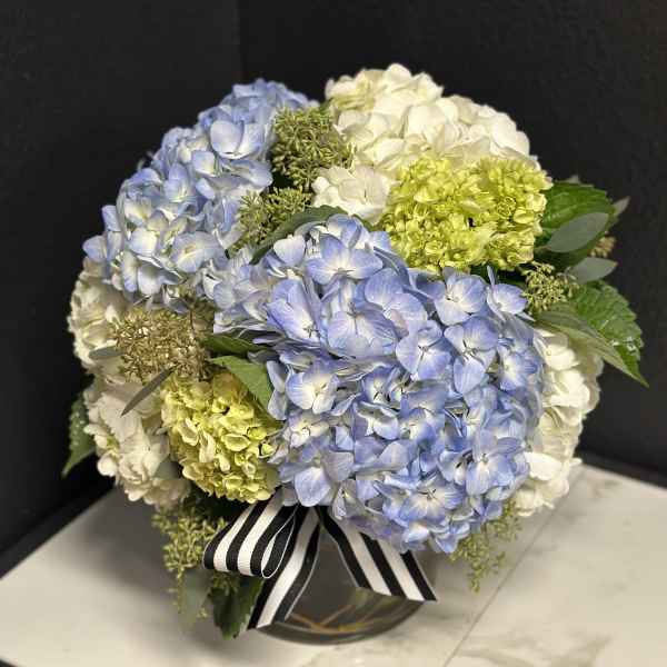 Blue & Cream Hydrangea En Masse