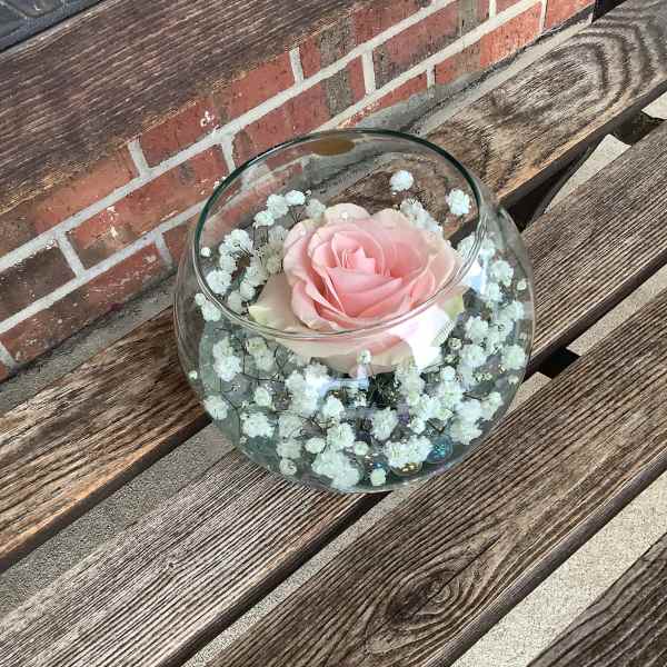 Pink rose in a clear glass bowl with white baby's breath