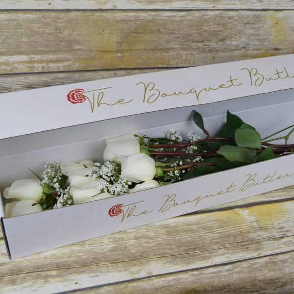 White roses in a long gift box with small white filler flowers