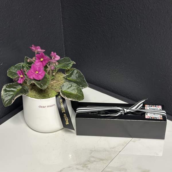 Dear Mom Violet Plant + Truffles