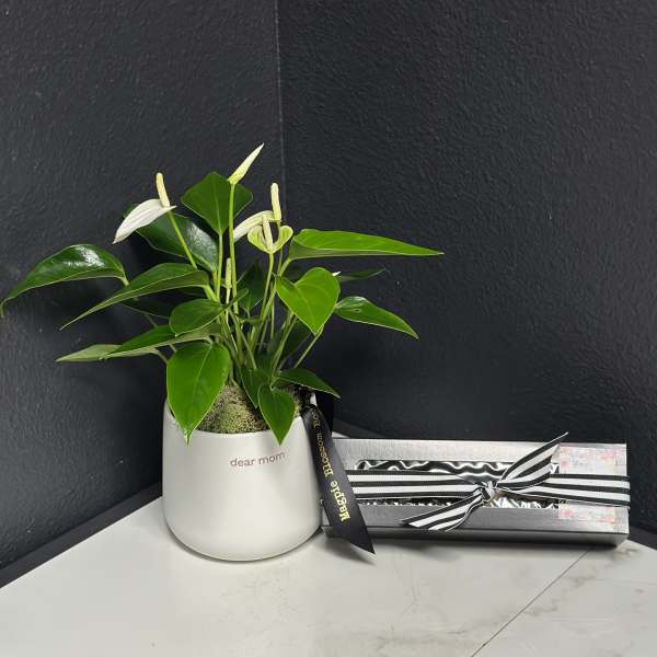 Dear Mom Anthurium Plant + Truffles