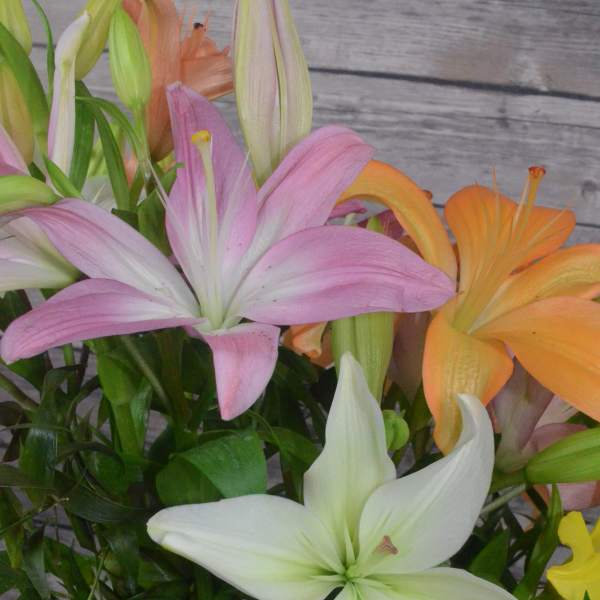 Bouquet of pink, white, and orange lilies in a glass vase