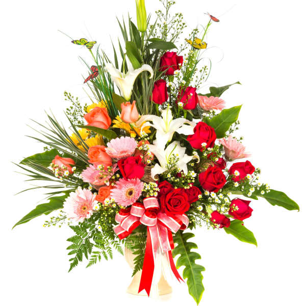 Fields of Butterflies