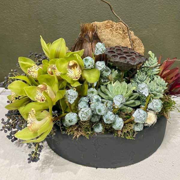 Succulent arrangement with lime orchids in a black bowl