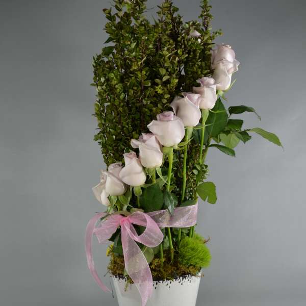 White roses arranged in a tall white pot with a pink ribbon