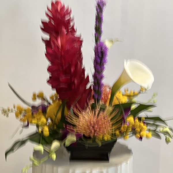 Colorful floral arrangement with red, purple, yellow, and white blooms in a black container