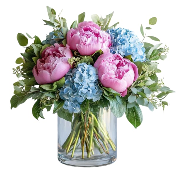 Pink peonies and blue hydrangeas arranged in a clear glass cylinder vase