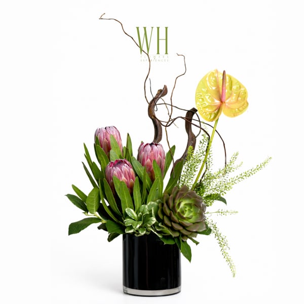 Protea and anthurium arrangement in a black vase with succulents