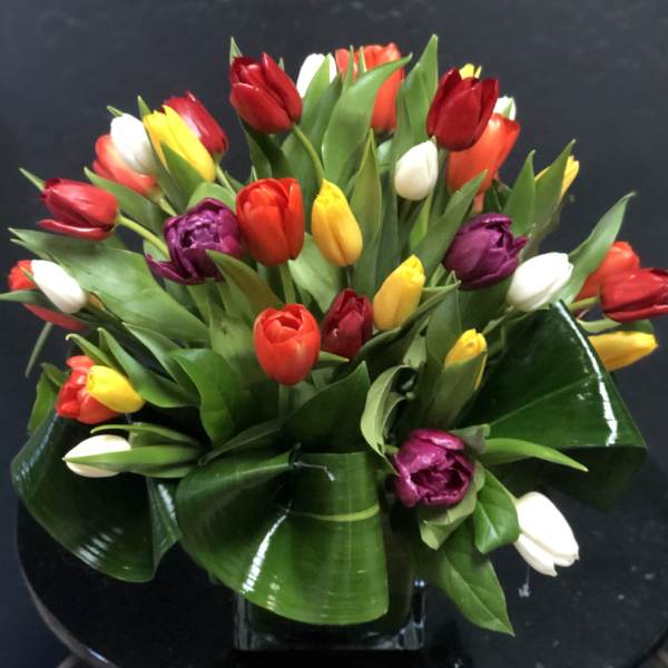 Bouquet of multicolored tulips with broad green leaves