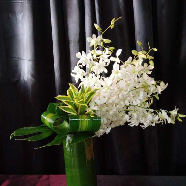White orchid arrangement in a tall green vase with curled leaves