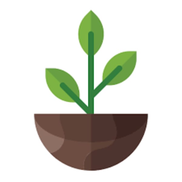 Potted green plant in a brown bowl-shaped container