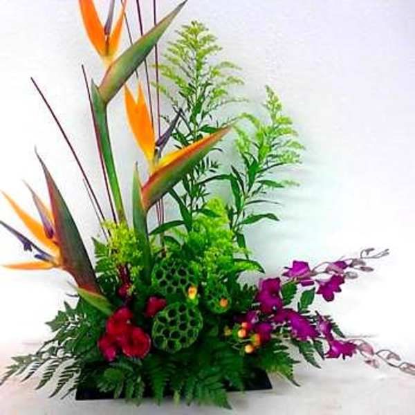 Tropical flower arrangement with bird of paradise and purple orchids in a low container