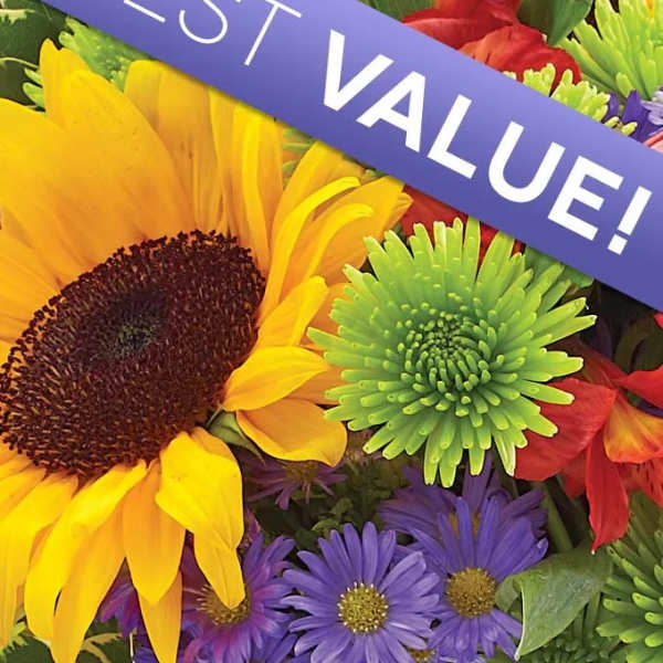 Bright mixed bouquet with sunflowers, purple daisies, and green mums