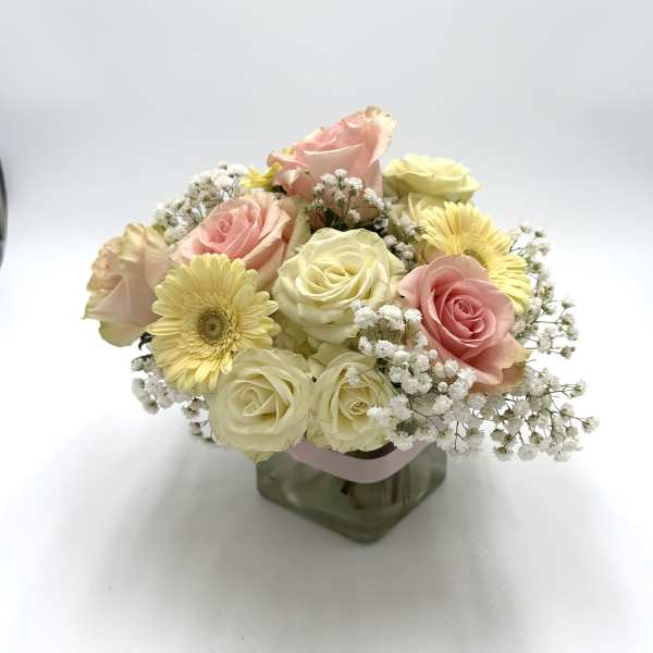 Mother’s Gentle Embrace