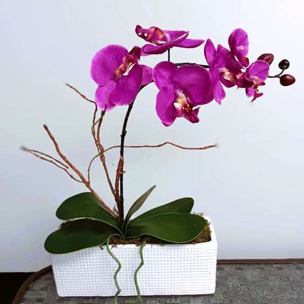 Purple orchid plant in a white rectangular planter